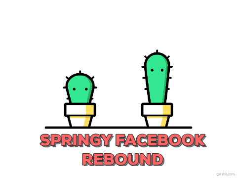 Springy Facebook Rebound