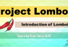Project Lombok - Spice up Your Java Skill