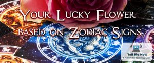 Lucky flower: Your Zodiac Sign
