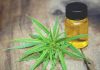 The Ultimate Beginners Guide to CBD Oil